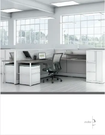 evolvesystems