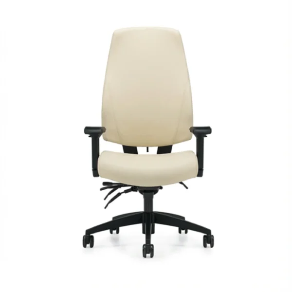 Ergo offic chairs product
